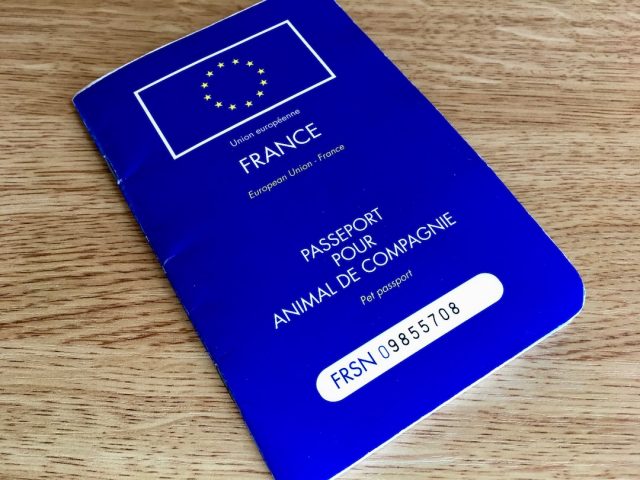 europe pet passport