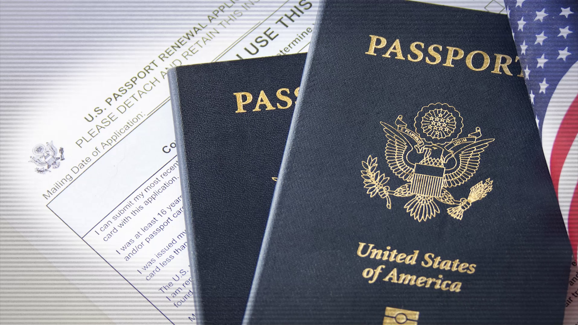 expedited passport meaning