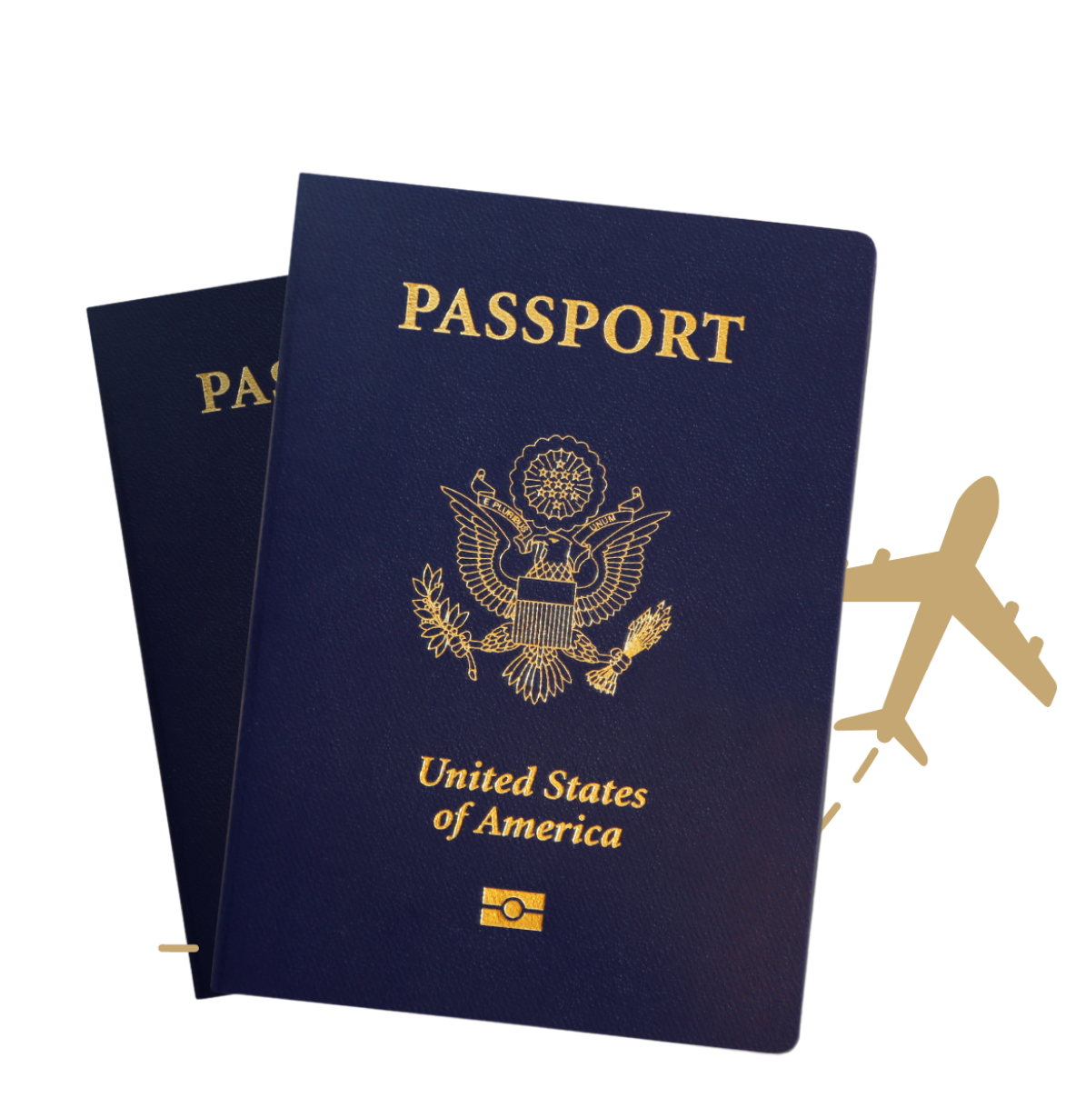 expedited passport new york