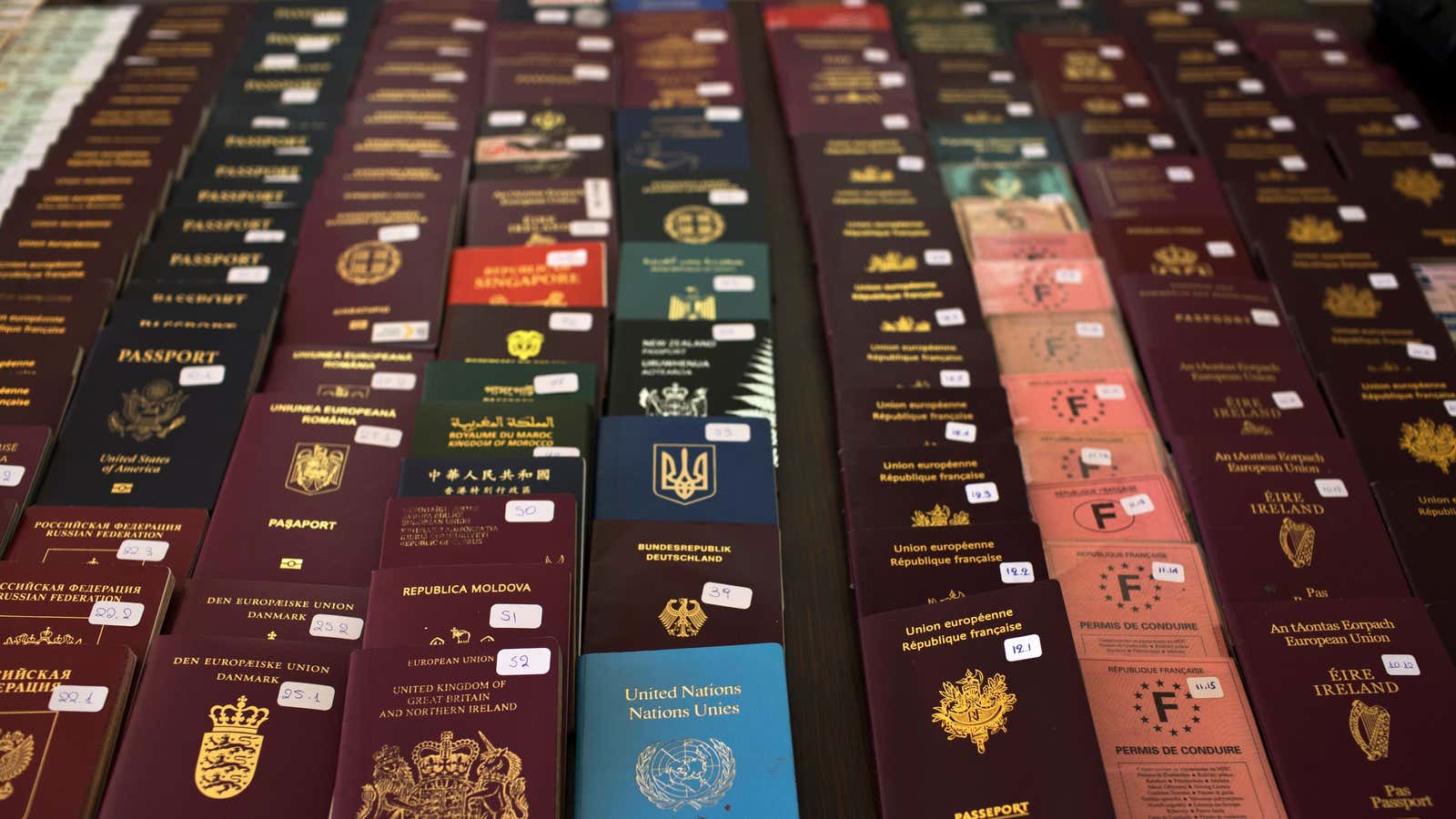 fake passports for fun