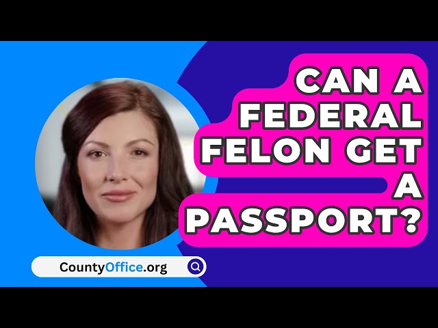 felon passport