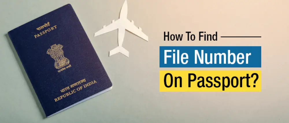 file no in passport