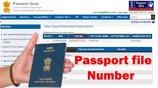 file number on passport