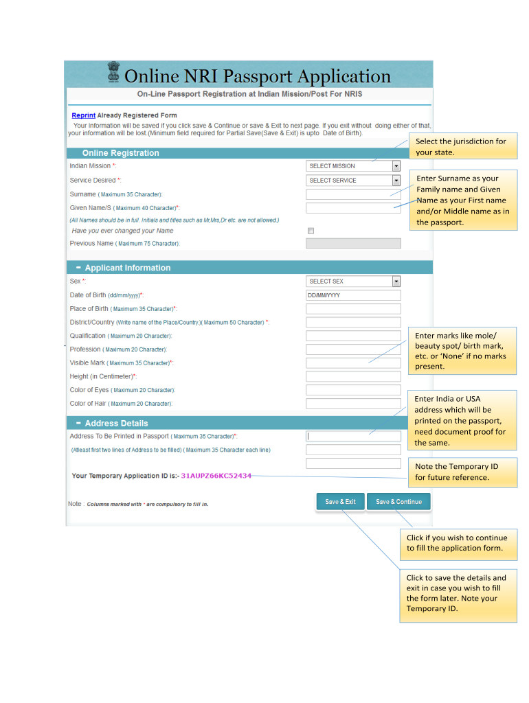 fill out passport application online