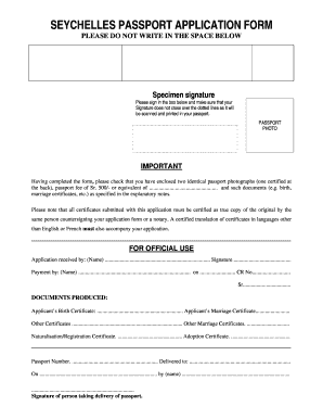 fillable passport application