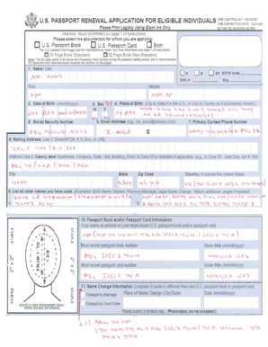 fillable passport renewal application