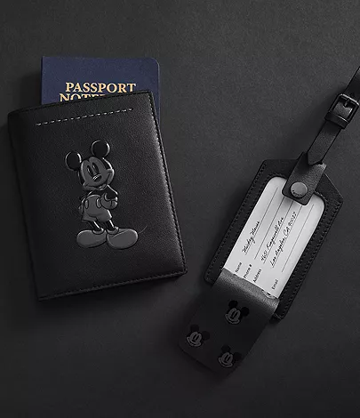 fossil passport cover