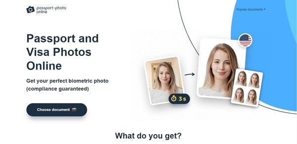 free passport photo maker online