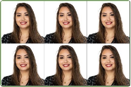 free passport photo online editor