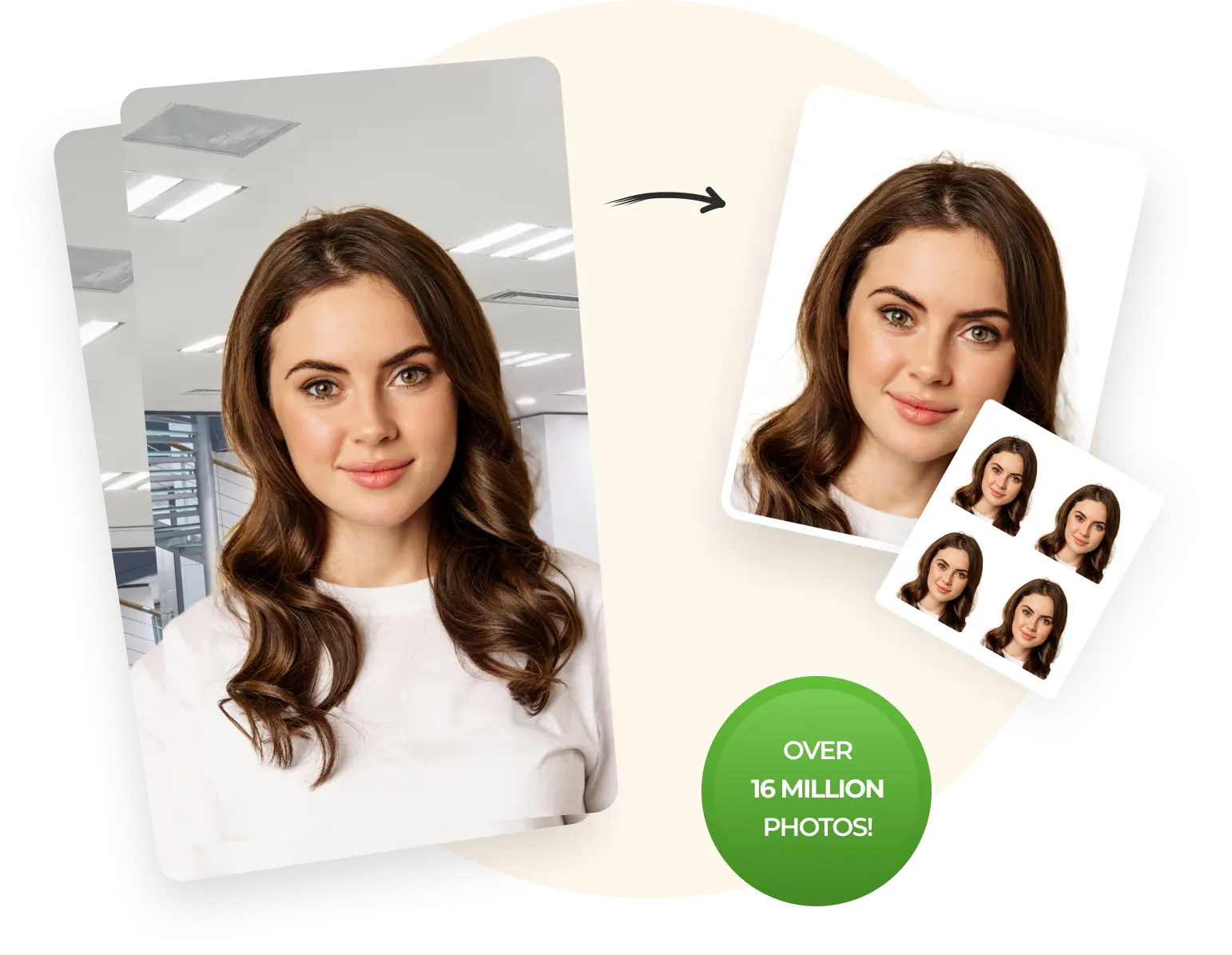 free passport picture maker