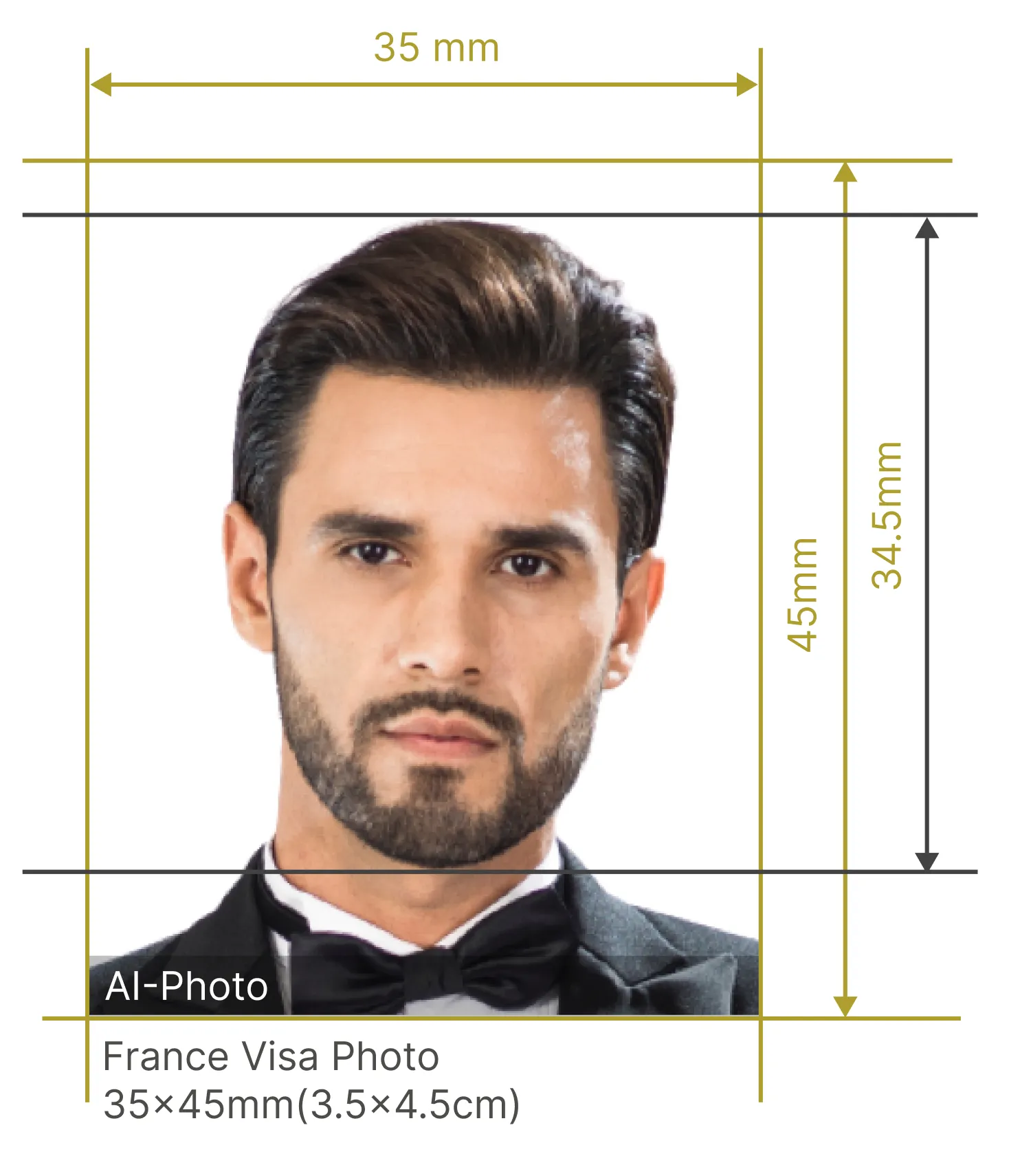 french passport photo size