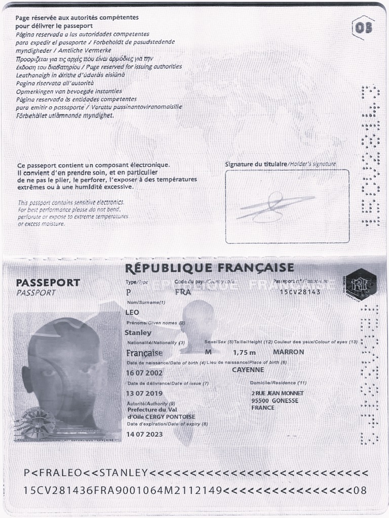 french passport