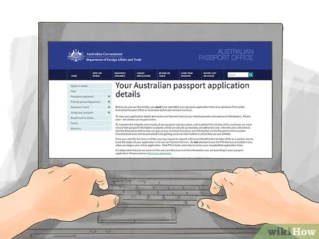 government passport status