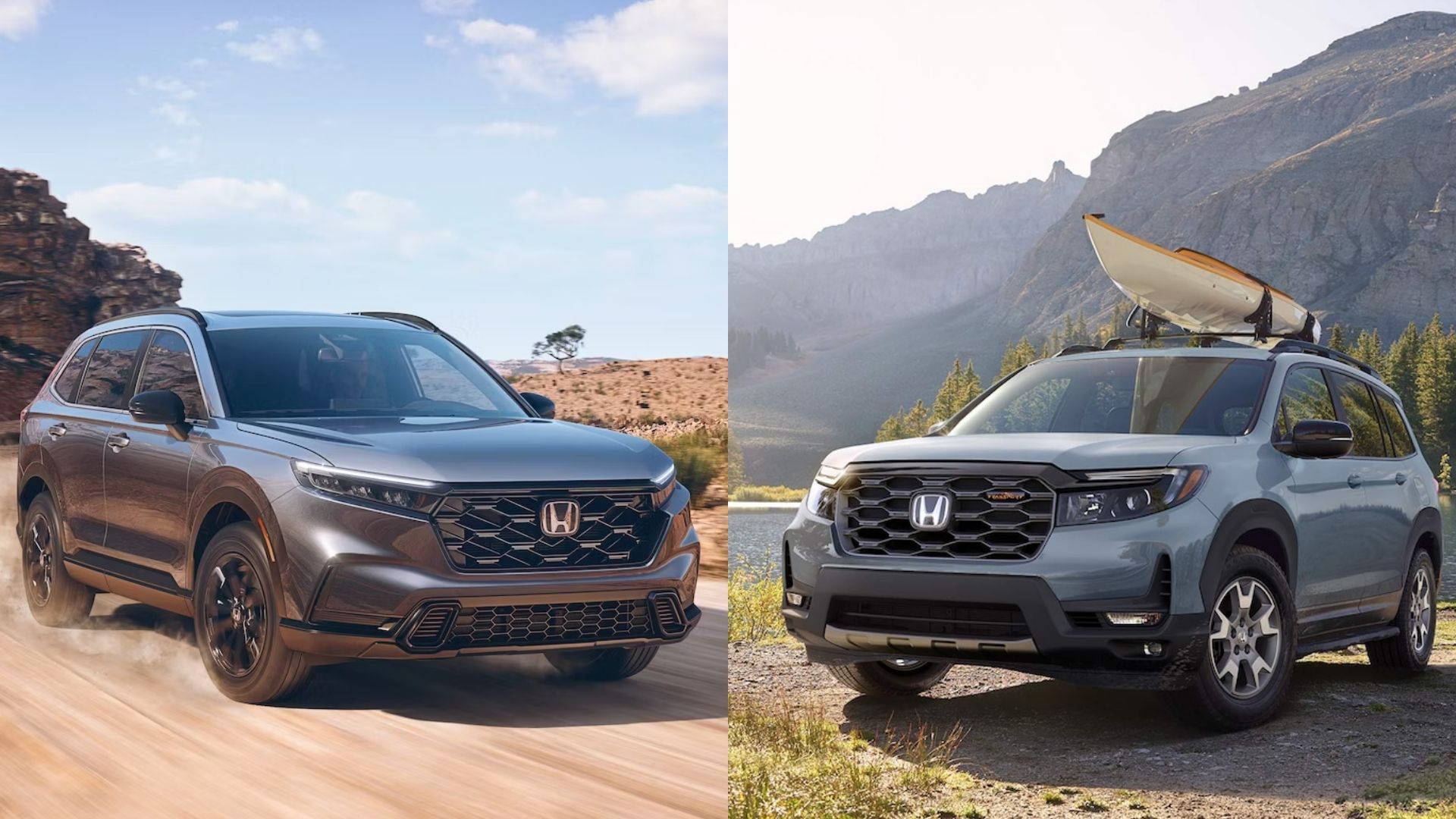 honda cr-v vs honda passport specs