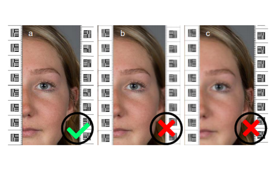 how big are passport photos