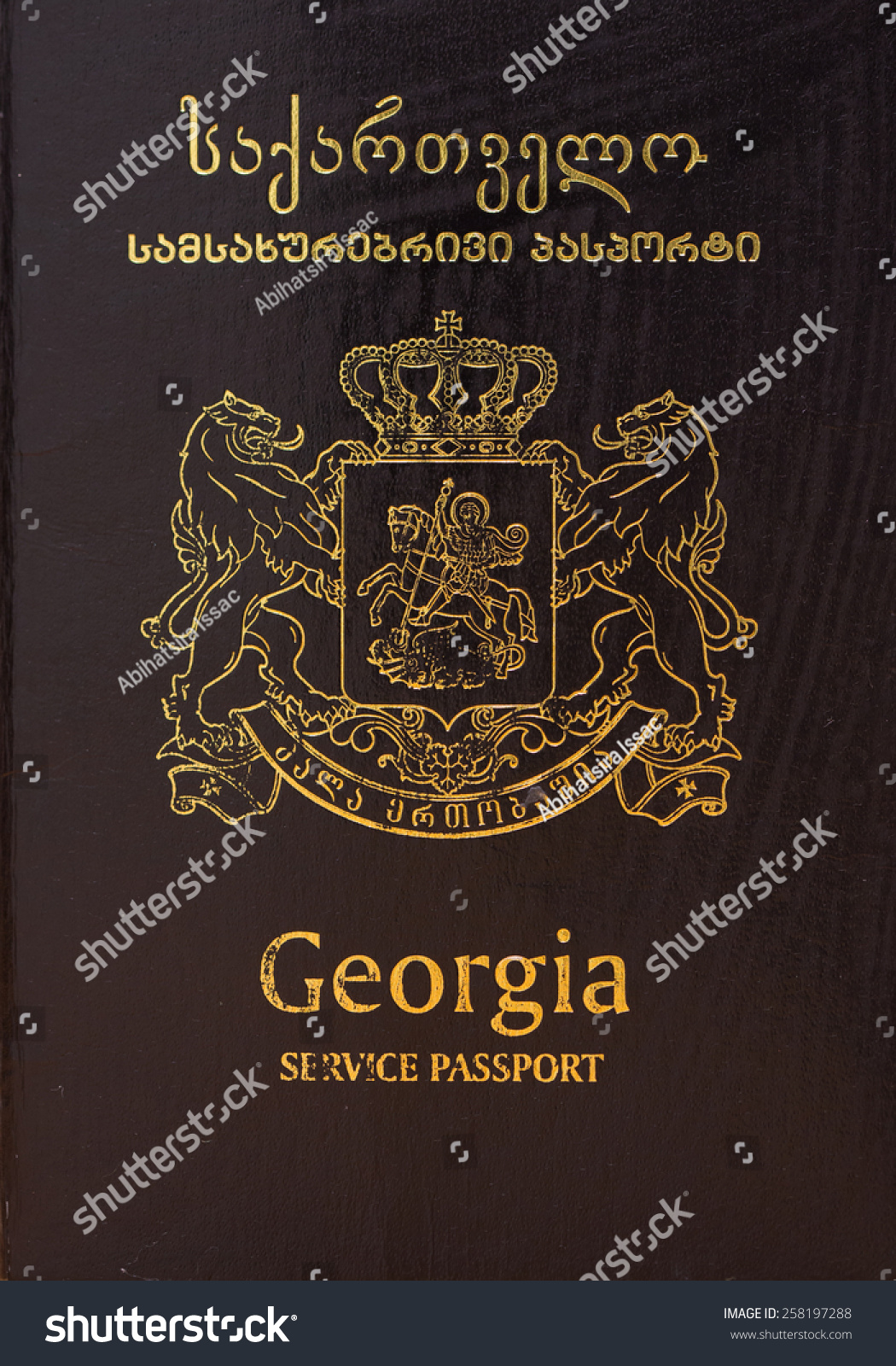 how do i get a passport in georgia