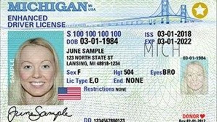 how do i get a passport in michigan