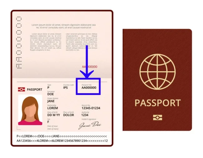 how do i get my passport number