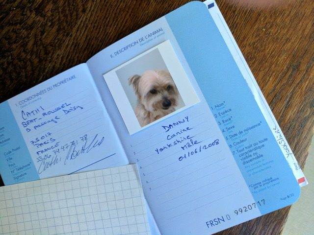 how do you get a dog passport