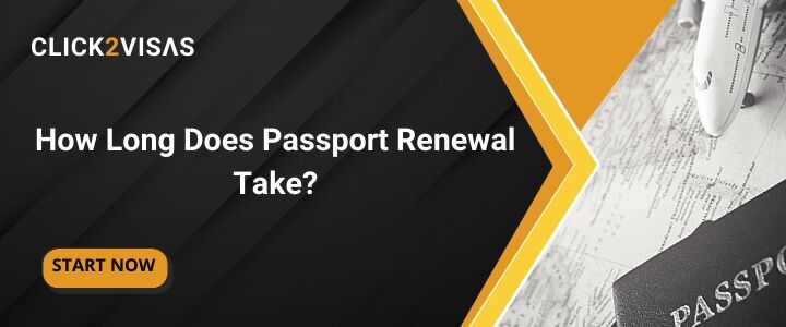 how long does it take to renew a passport nyc