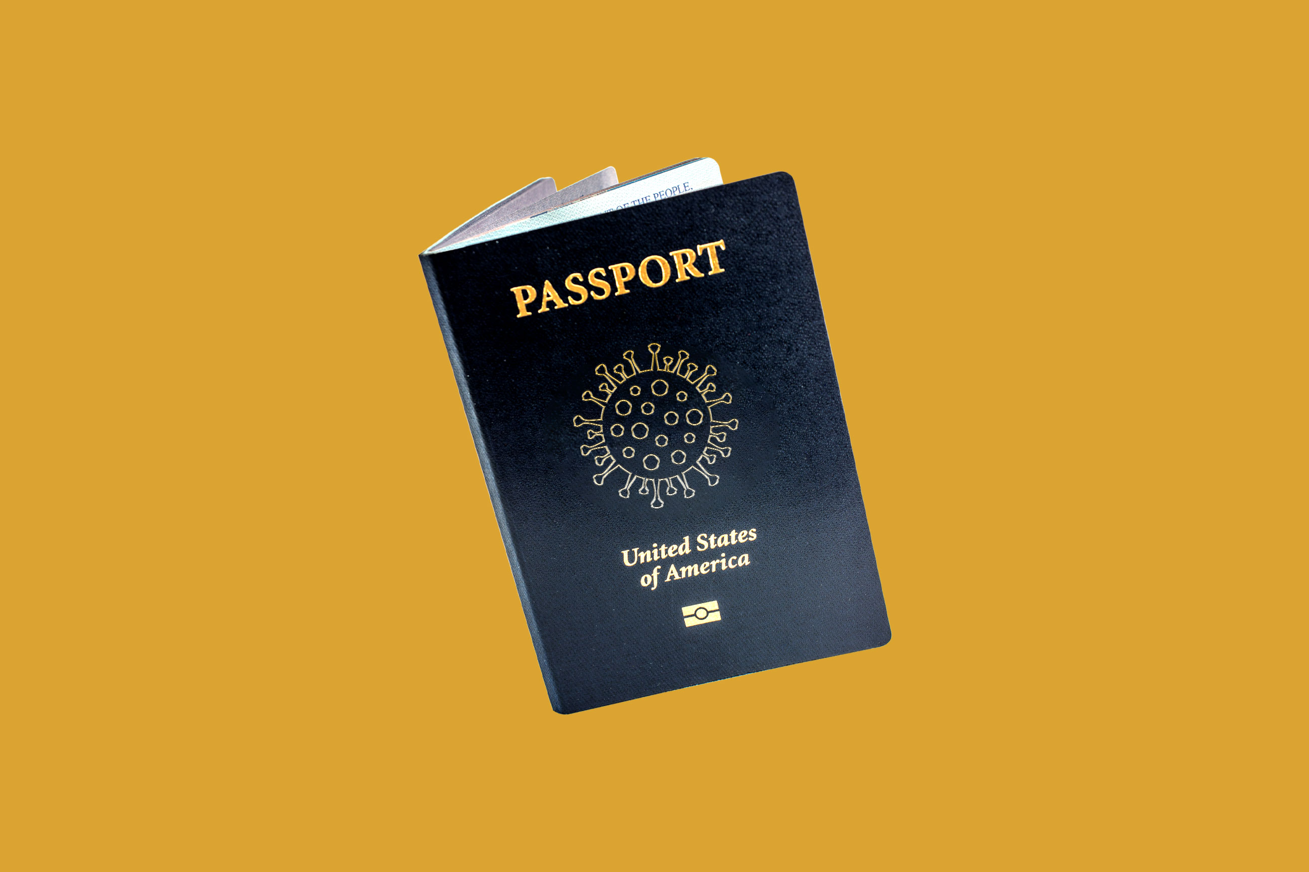 how long to receive a passport