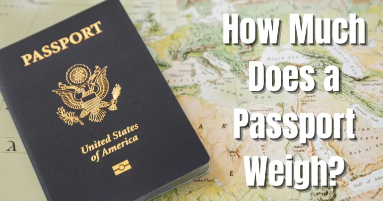 how much does a passport weigh