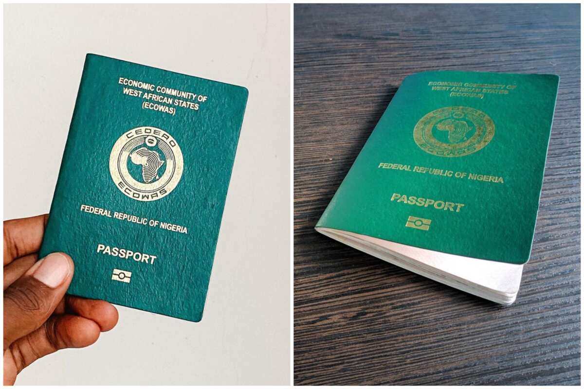 how much is a international passport