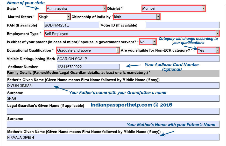 how to apply online passport application