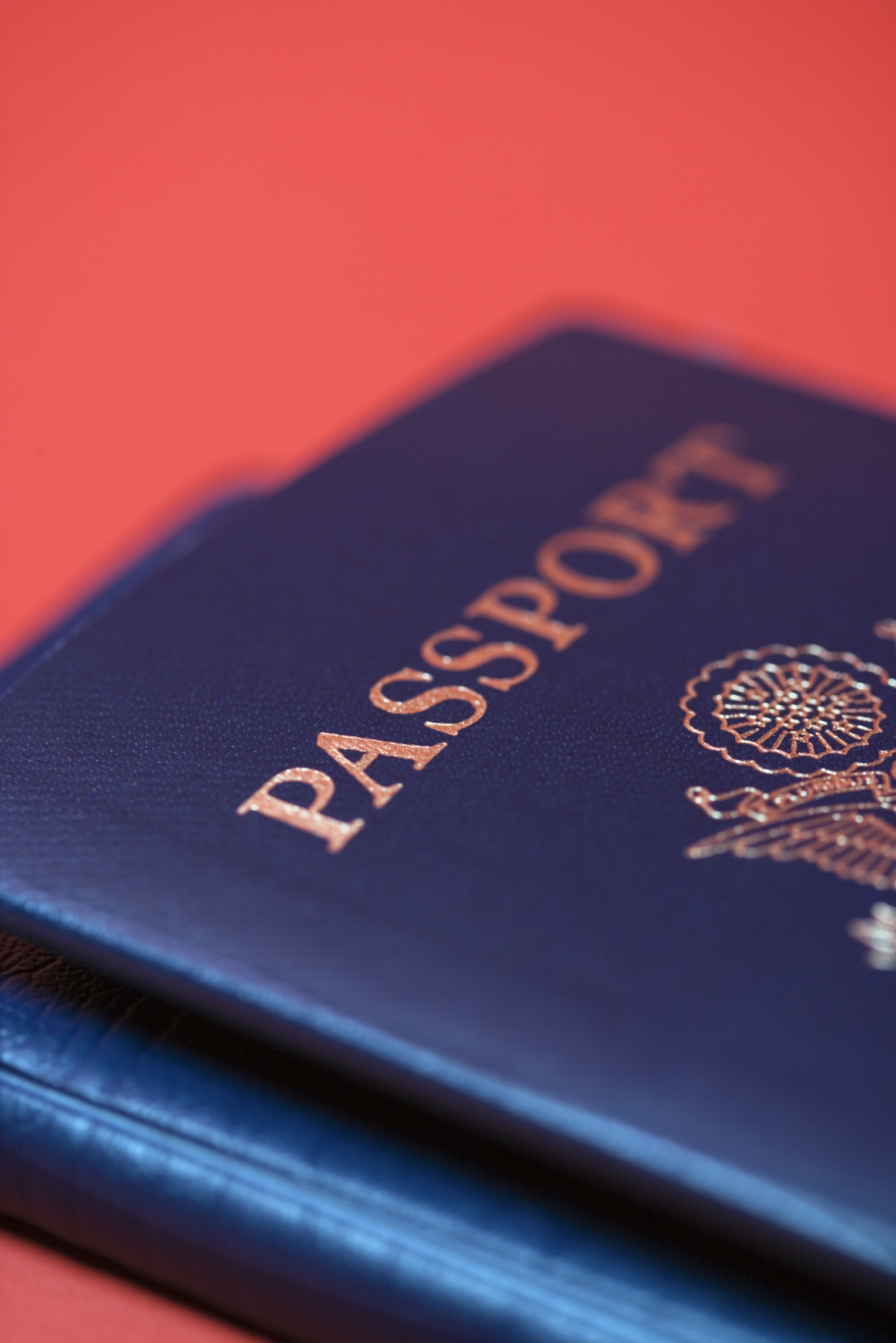 how to find my passport number online