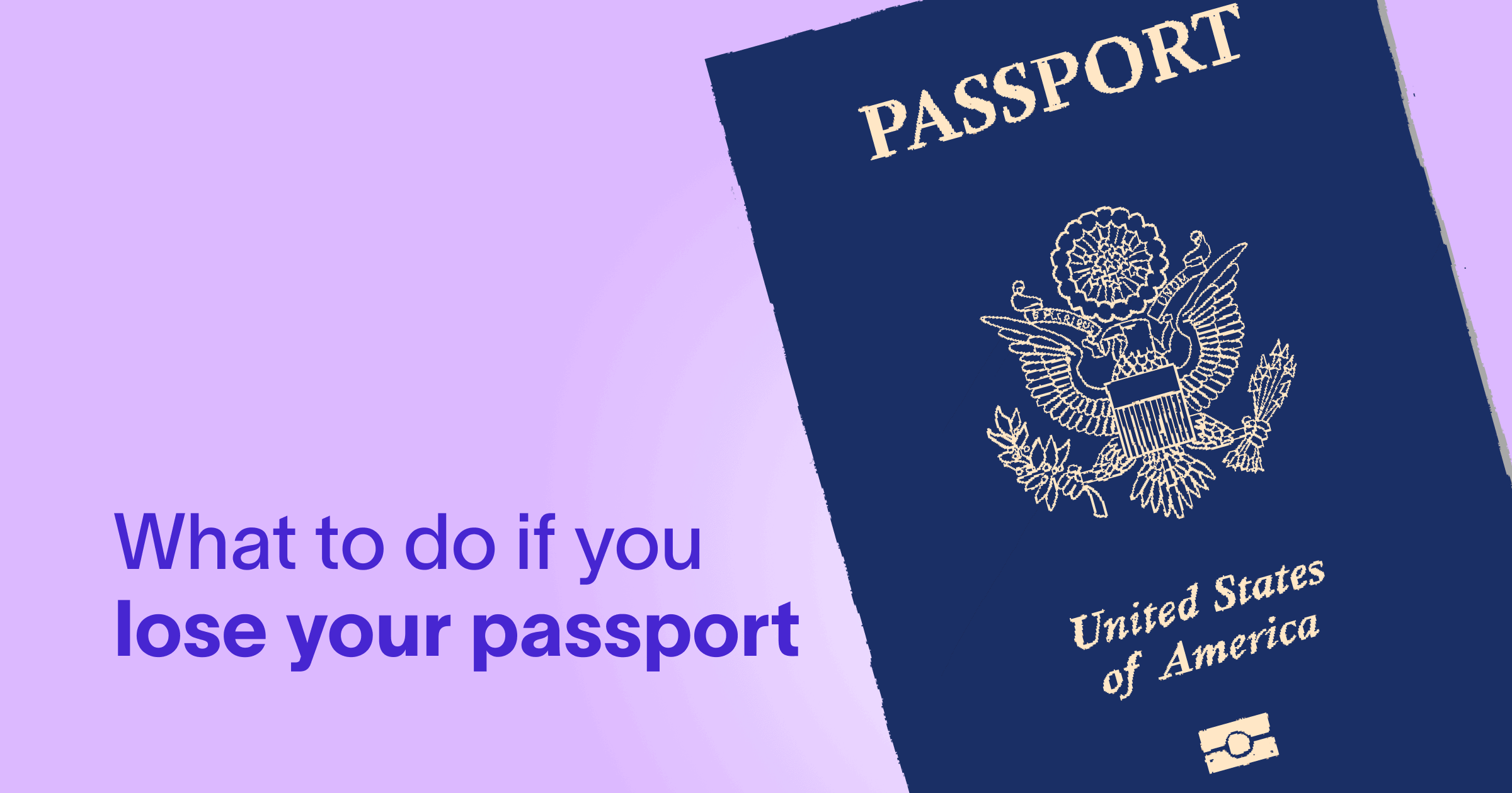 if you lose your passport