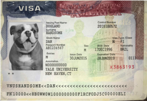 immigration stamp passport