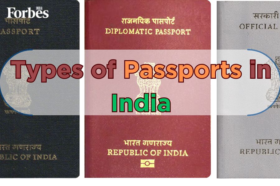 india passport type