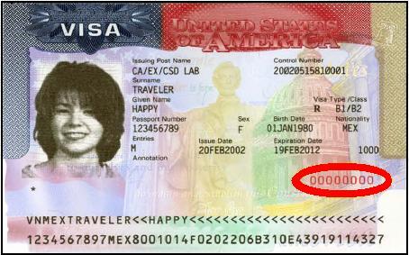 indian visa number on passport