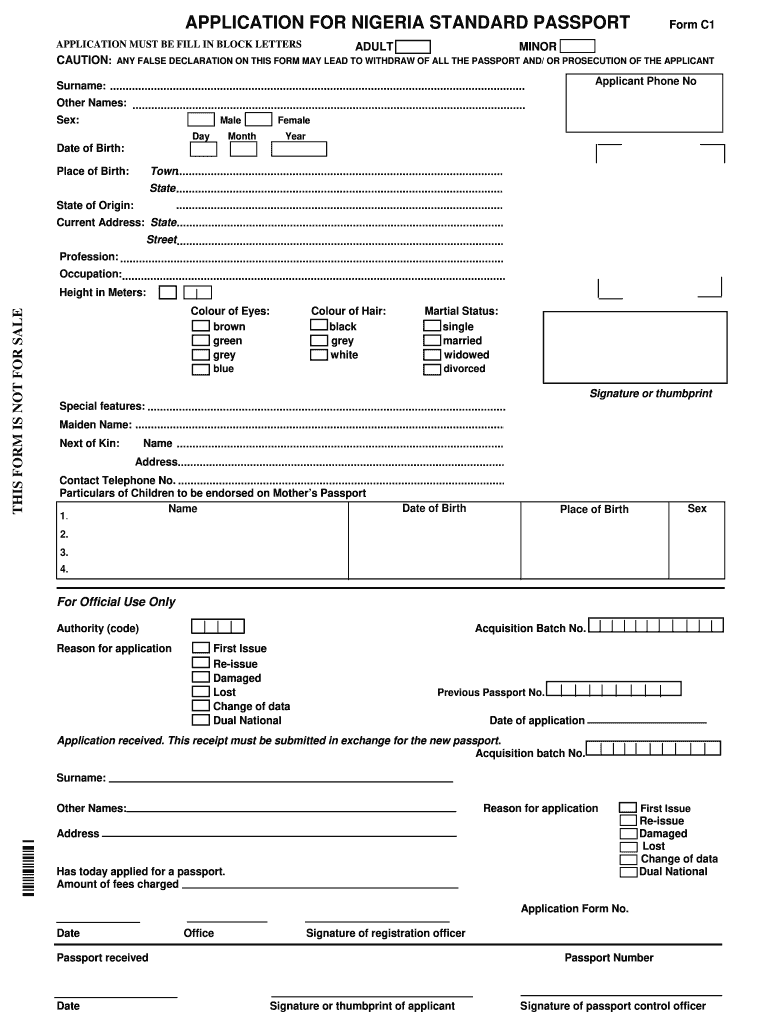 international passport application