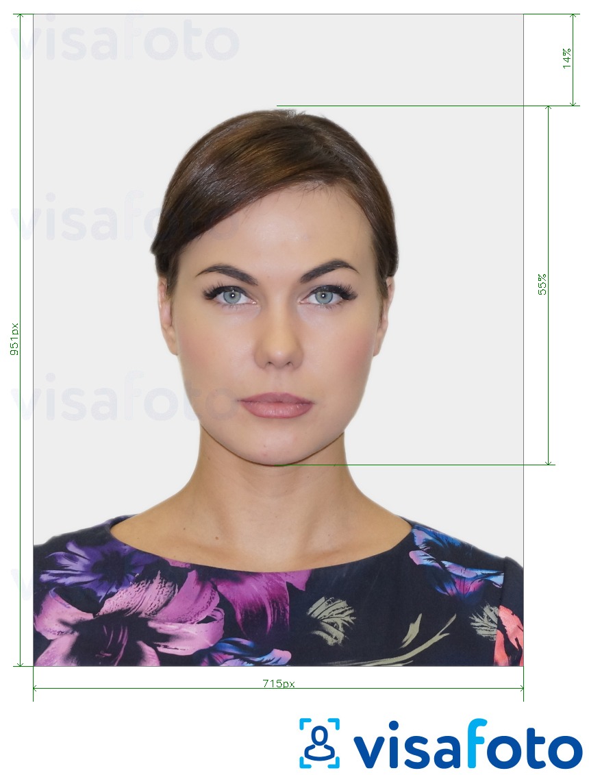 irish passport photo guidelines