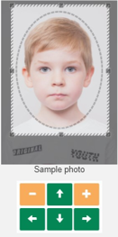 irish passport photo specifications