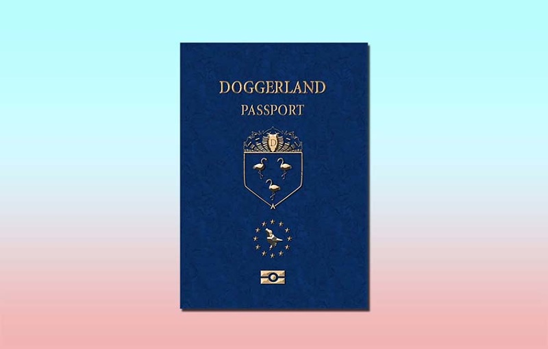kaufman passport