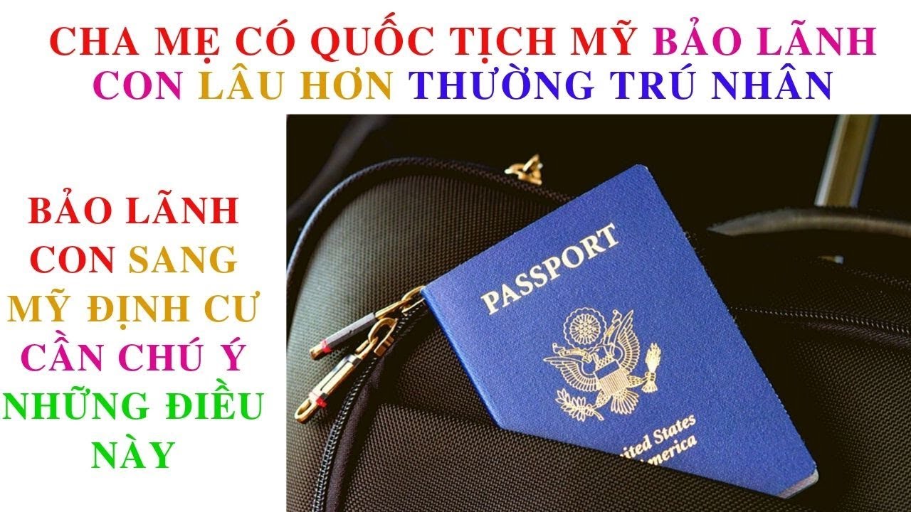 lam passport vietnam tai my