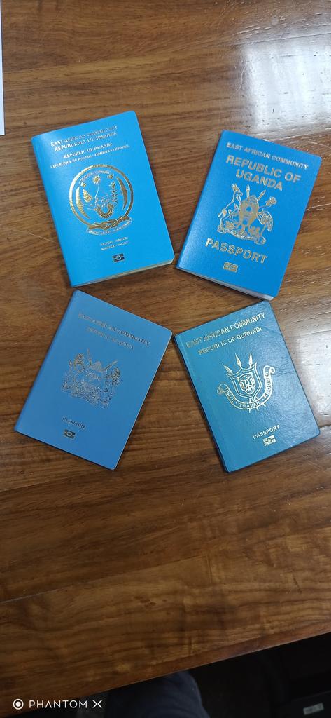 light blue passport