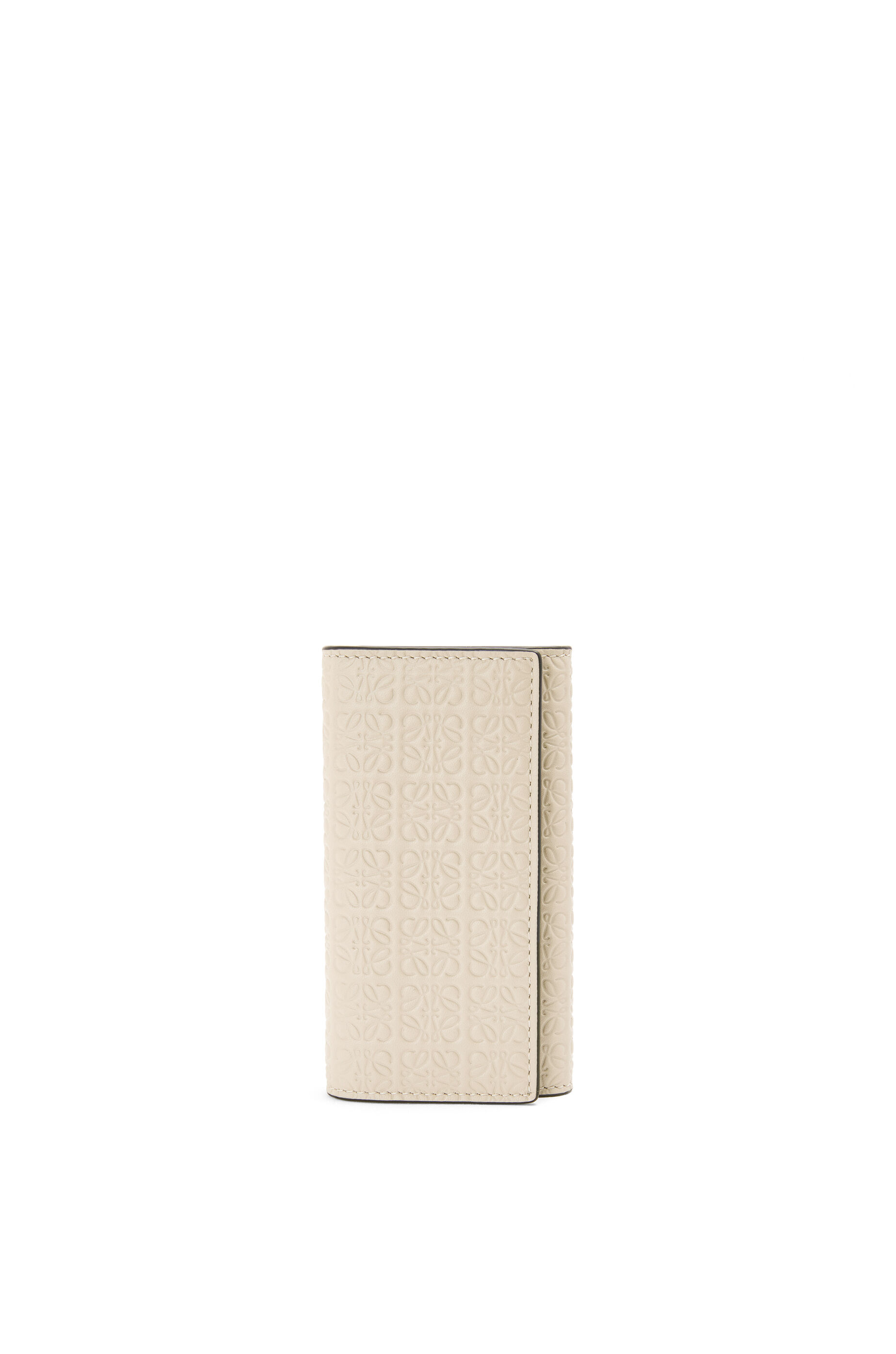 loewe passport holder