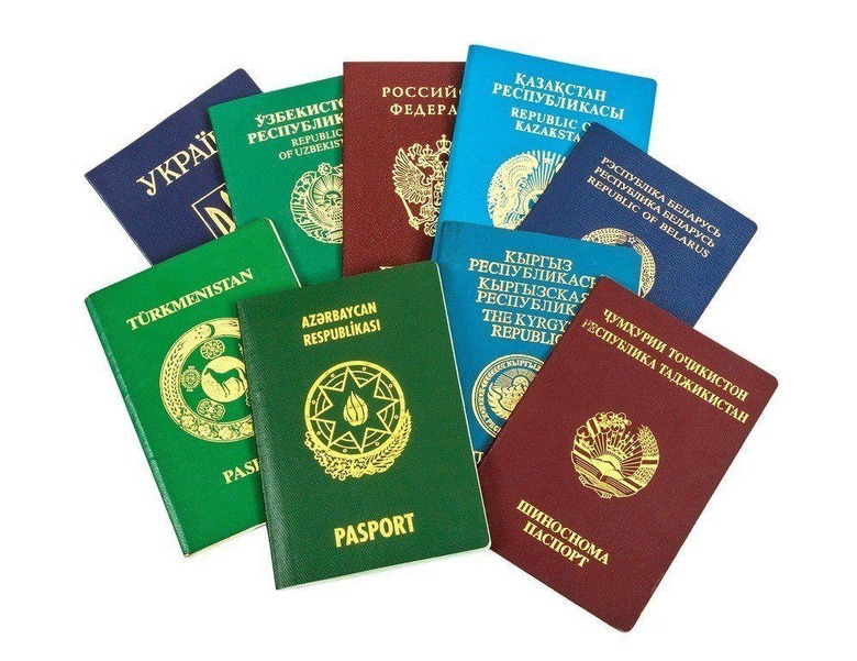 meaning of color of passport