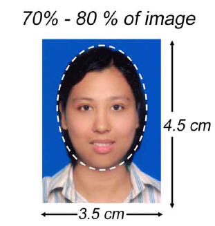 measurement of passport size picture