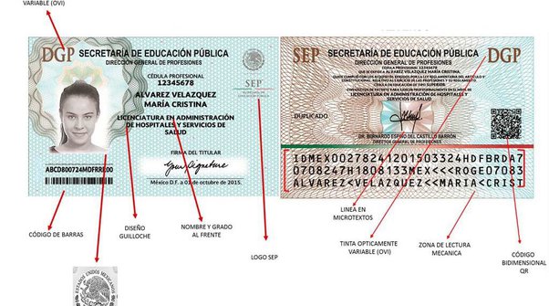 mexican passport example