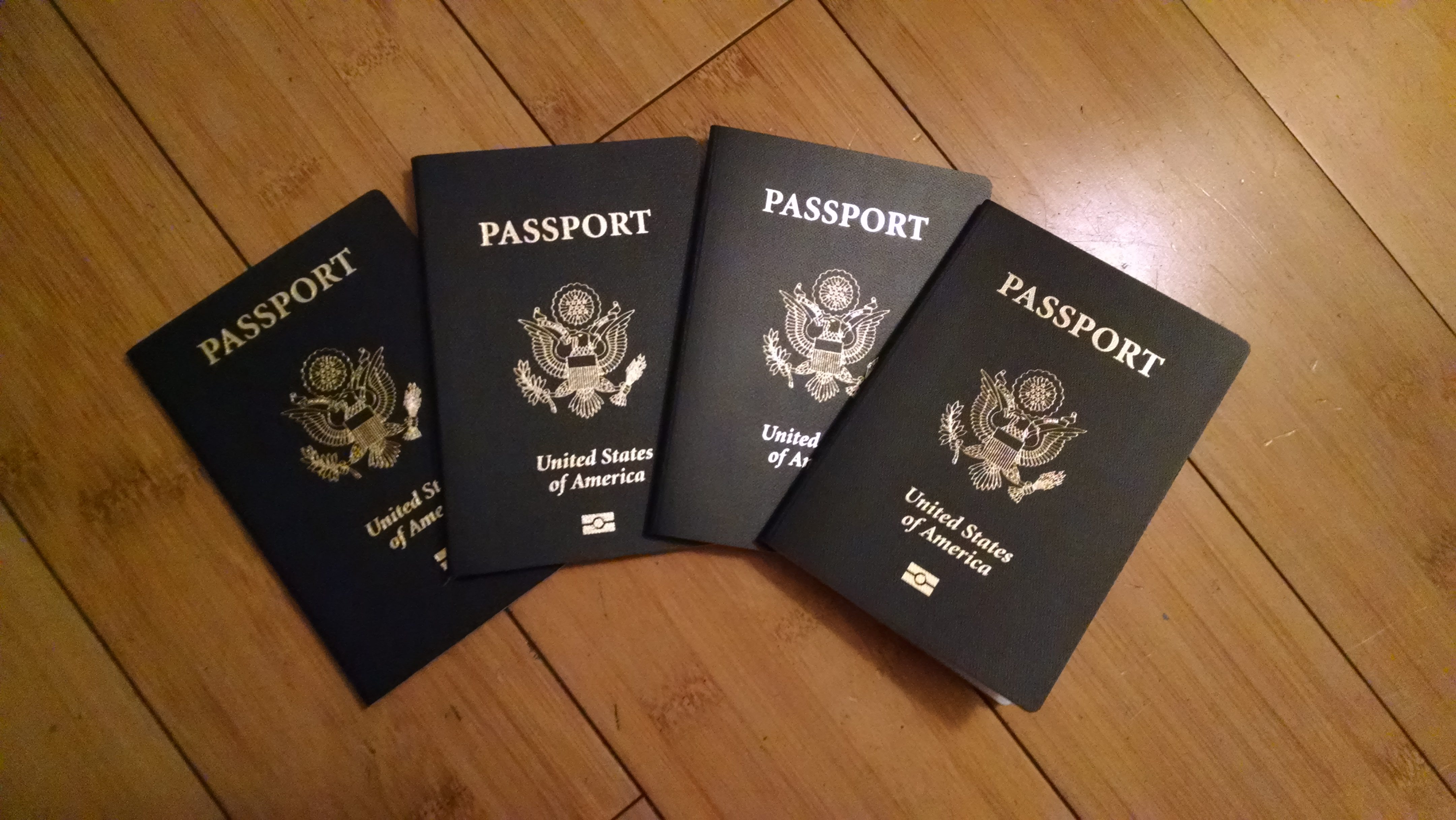 mini passport