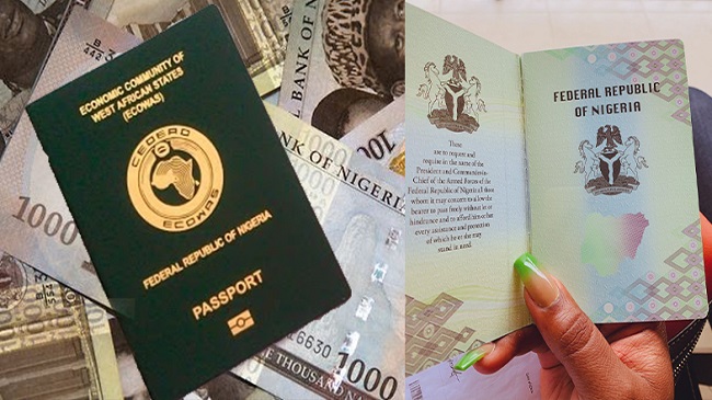 nigerian passport service