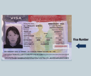 nonimmigrant visa number on passport