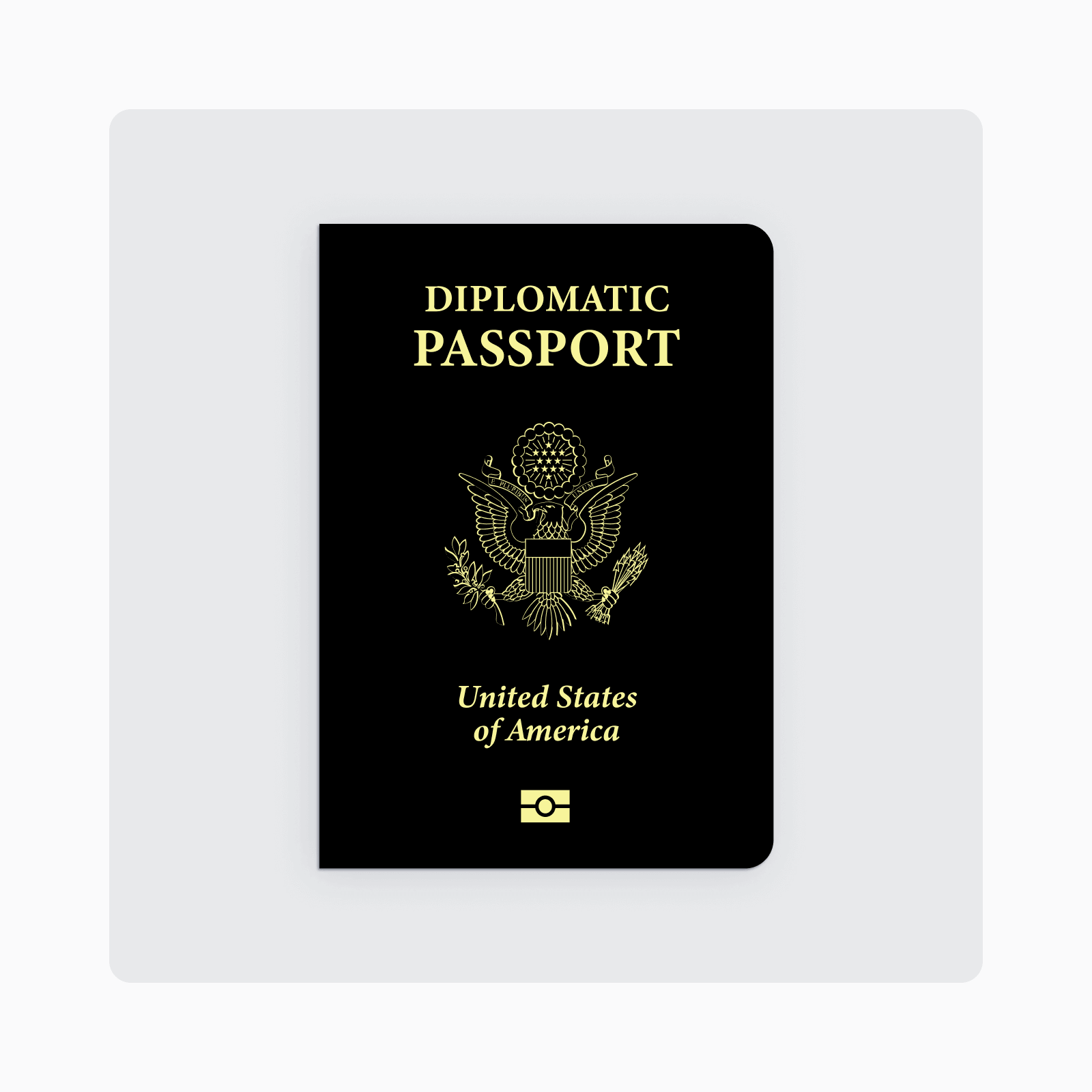 ordinary passport meaning