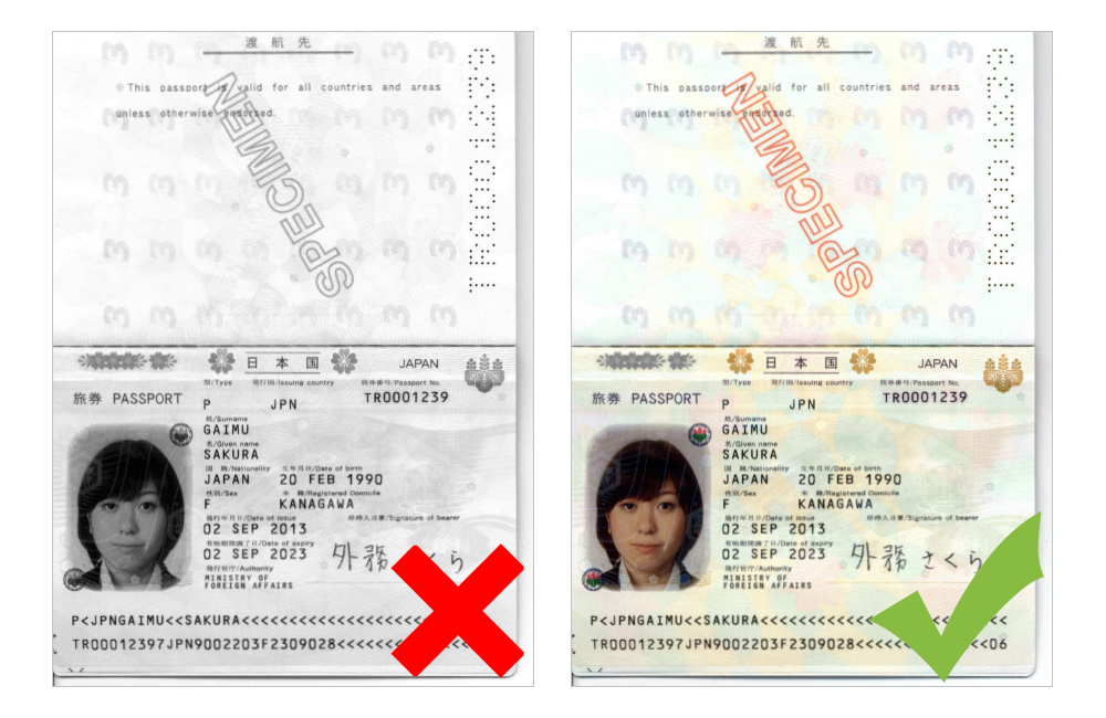 passport biopage