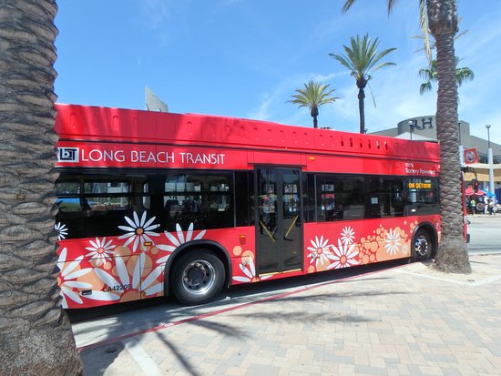 passport bus long beach