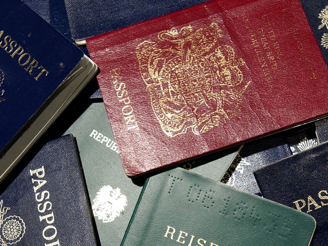 passport colors